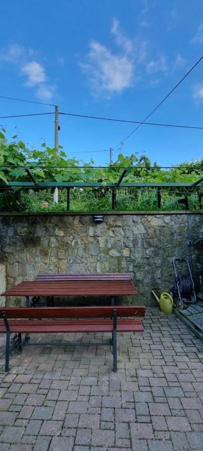 Pri Stari Murvi Apartment Vogrsko