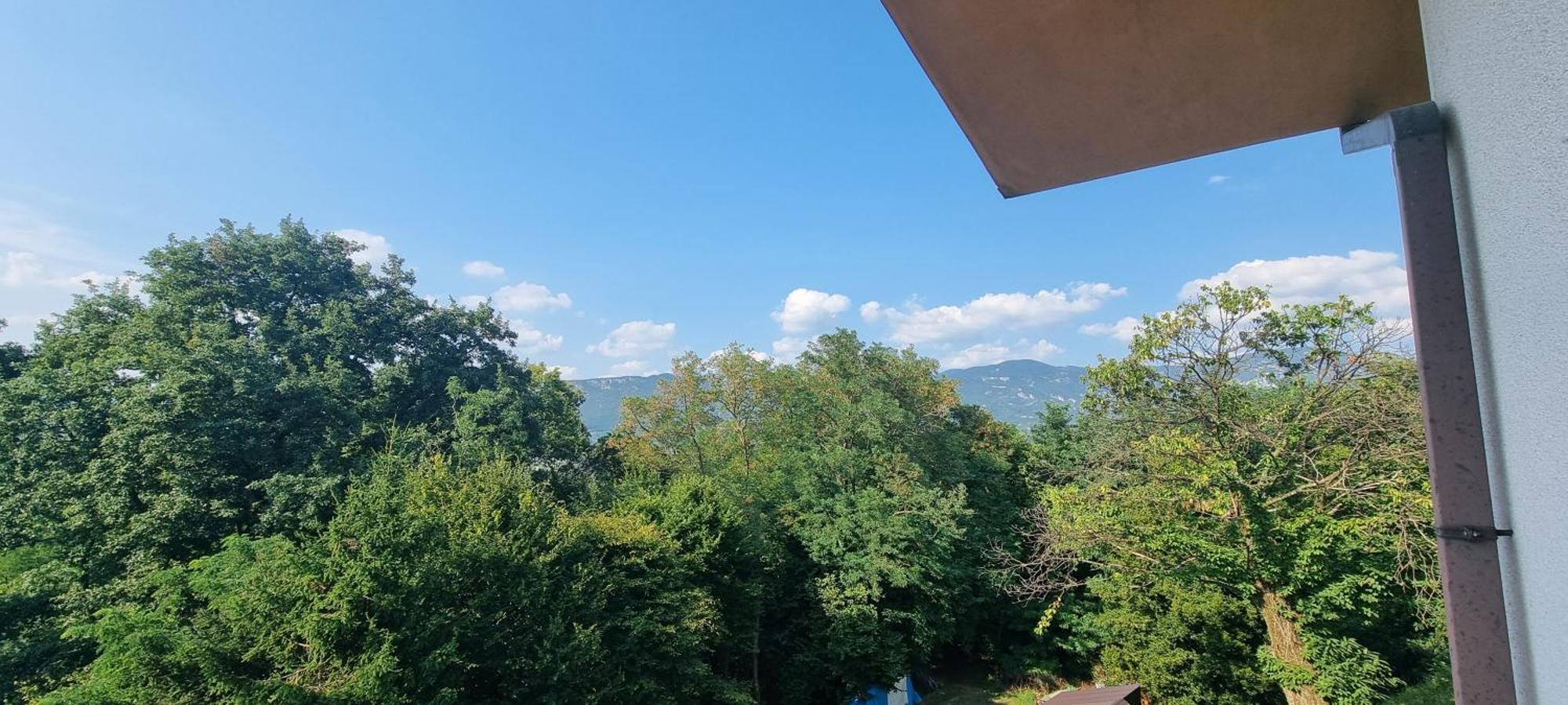 Pri Stari Murvi Apartment Vogrsko